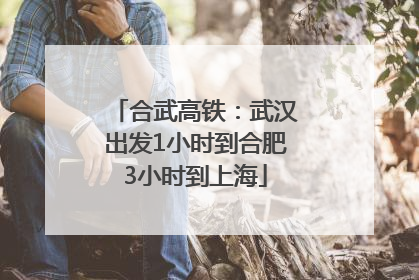 合武高铁：武汉出发1小时到合肥3小时到上海