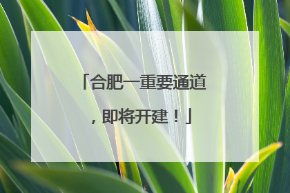 合肥一重要通道，即将开建！