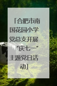 合肥市南国花园小学党总支开展“庆七一”主题党日活动