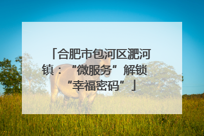 合肥市包河区淝河镇：“微服务”解锁“幸福密码”