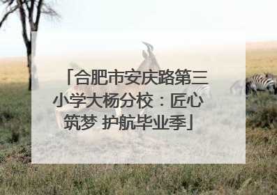 合肥市安庆路第三小学大杨分校：匠心筑梦 护航毕业季