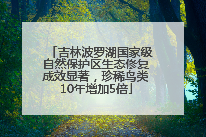 吉林波罗湖国家级自然保护区生态修复成效显著，珍稀鸟类10年增加5倍