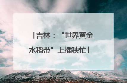 吉林：“世界黄金水稻带”上插秧忙