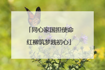 同心家国担使命 红柳筑梦践初心