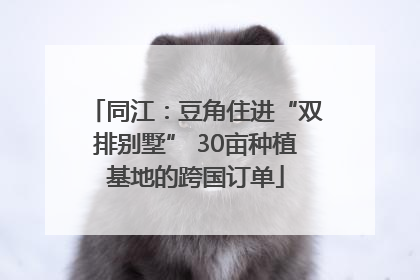 同江：豆角住进“双排别墅” 30亩种植基地的跨国订单