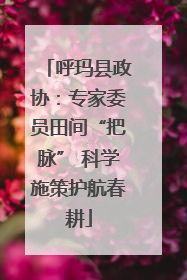 呼玛县政协：专家委员田间“把脉” 科学施策护航春耕