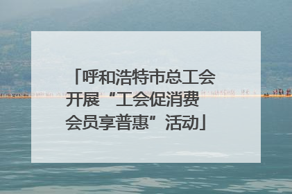 呼和浩特市总工会开展“工会促消费 会员享普惠”活动