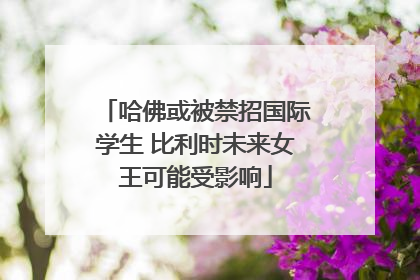 哈佛或被禁招国际学生 比利时未来女王可能受影响