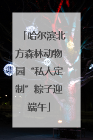 哈尔滨北方森林动物园“私人定制”粽子迎端午