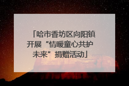 哈市香坊区向阳镇开展“情暖童心共护未来”捐赠活动