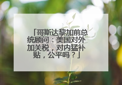 哥斯达黎加前总统顾问：美国对外加关税，对内猛补贴，公平吗？