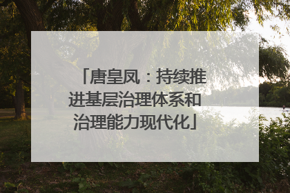 唐皇凤：持续推进基层治理体系和治理能力现代化