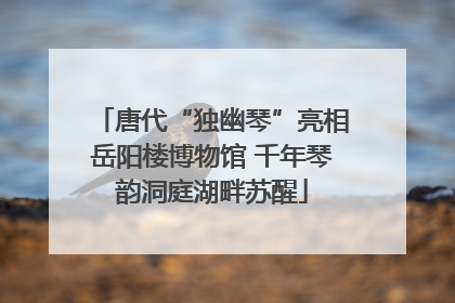 唐代“独幽琴”亮相岳阳楼博物馆 千年琴韵洞庭湖畔苏醒