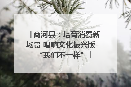 商河县：培育消费新场景 唱响文化振兴版“我们不一样”