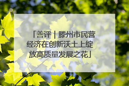 善评｜滕州市民营经济在创新沃土上绽放高质量发展之花
