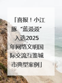 喜报！小江豚“蓝叒叒”入选2025年网络文明国际交流互鉴城市典型案例