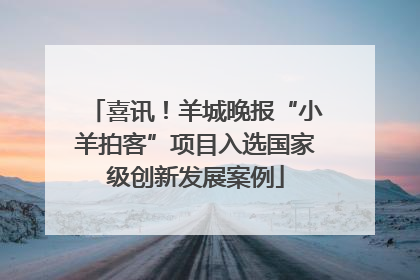 喜讯！羊城晚报“小羊拍客”项目入选国家级创新发展案例