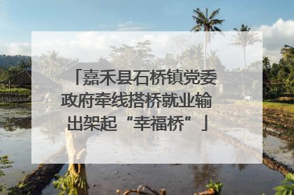 嘉禾县石桥镇党委政府牵线搭桥就业输出架起“幸福桥”