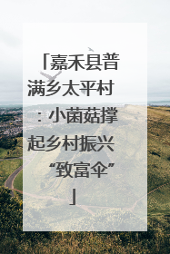 嘉禾县普满乡太平村：小菌菇撑起乡村振兴“致富伞”