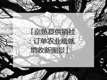 嘉鱼县供销社：订单农业绘就增收新图景