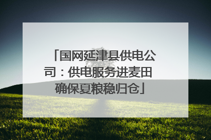 国网延津县供电公司：供电服务进麦田 确保夏粮稳归仓