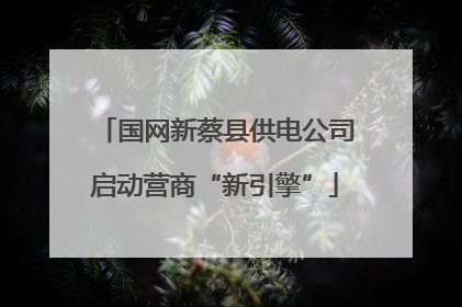 国网新蔡县供电公司启动营商“新引擎”