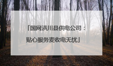 国网潢川县供电公司：贴心服务麦收电无忧