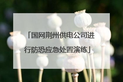 国网荆州供电公司进行防恐应急处置演练