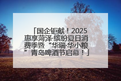 国企钜献！2025惠享菏泽·缤纷夏日消费季暨“华瑞·华小粮”青岛啤酒节启幕！