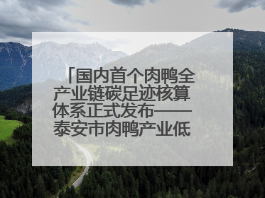 国内首个肉鸭全产业链碳足迹核算体系正式发布——泰安市肉鸭产业低碳发展标准示范项目顺利通过验收