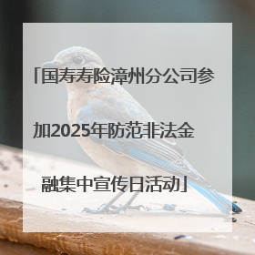 国寿寿险漳州分公司参加2025年防范非法金融集中宣传日活动