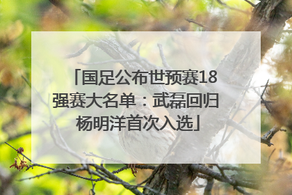 国足公布世预赛18强赛大名单：武磊回归 杨明洋首次入选
