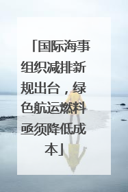 国际海事组织减排新规出台，绿色航运燃料亟须降低成本