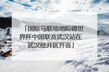 国际马联场地障碍世界杯中国联赛武汉站在武汉经开区开赛