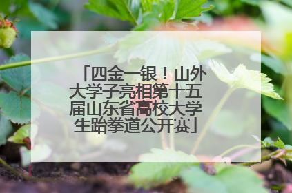 四金一银！山外大学子亮相第十五届山东省高校大学生跆拳道公开赛