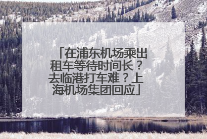 在浦东机场乘出租车等待时间长？去临港打车难？上海机场集团回应