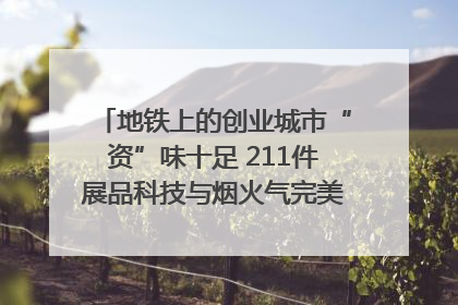 地铁上的创业城市“资”味十足 211件展品科技与烟火气完美融合｜西博视界
