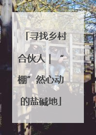 寻找乡村合伙人｜“棚”然心动的盐碱地
