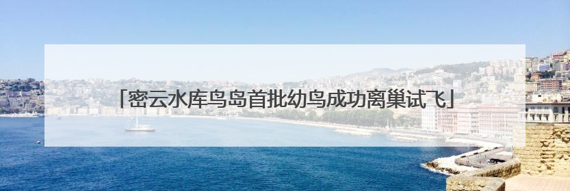 密云水库鸟岛首批幼鸟成功离巢试飞