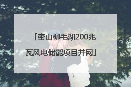 密山柳毛湖200兆瓦风电储能项目并网