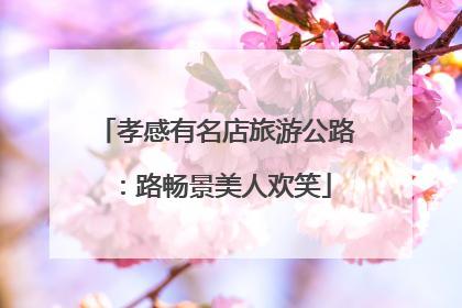 孝感有名店旅游公路：路畅景美人欢笑