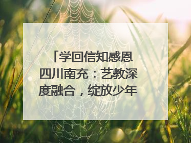 学回信知感恩 四川南充：艺教深度融合，绽放少年儿童风采｜您牵挂的四川