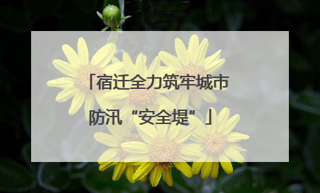 宿迁全力筑牢城市防汛“安全堤”