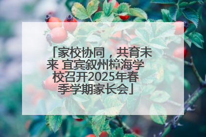家校协同，共育未来 宜宾叙州樟海学校召开2025年春季学期家长会