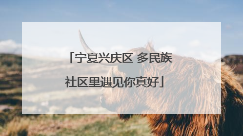 宁夏兴庆区 多民族社区里遇见你真好