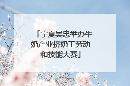 宁夏吴忠举办牛奶产业挤奶工劳动和技能大赛