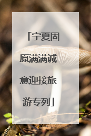 宁夏固原满满诚意迎接旅游专列