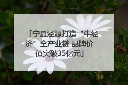 宁夏泾源打造“牛经济”全产业链 品牌价值突破35亿元