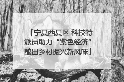 宁夏西夏区 科技特派员助力“紫色经济”酿出乡村振兴新风味