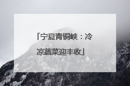 宁夏青铜峡：冷凉蔬菜迎丰收